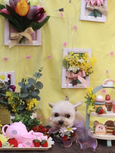 20230302じゅのんくん